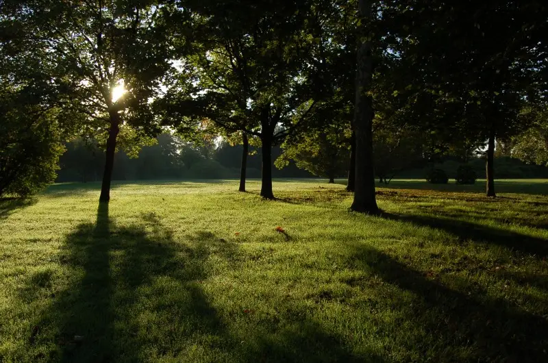 DSC_0002-e1319489786851