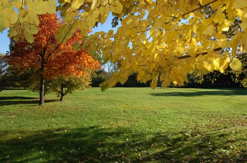 DSC_0052-e1319489738664