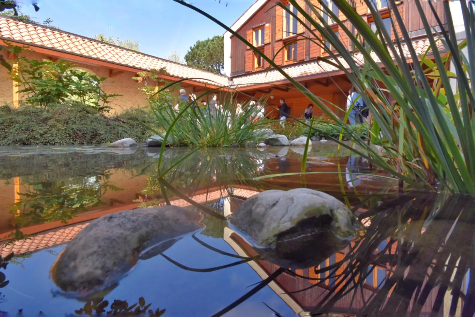 7005F23F-D641-4DE6-94A1-40B9CB176CB5