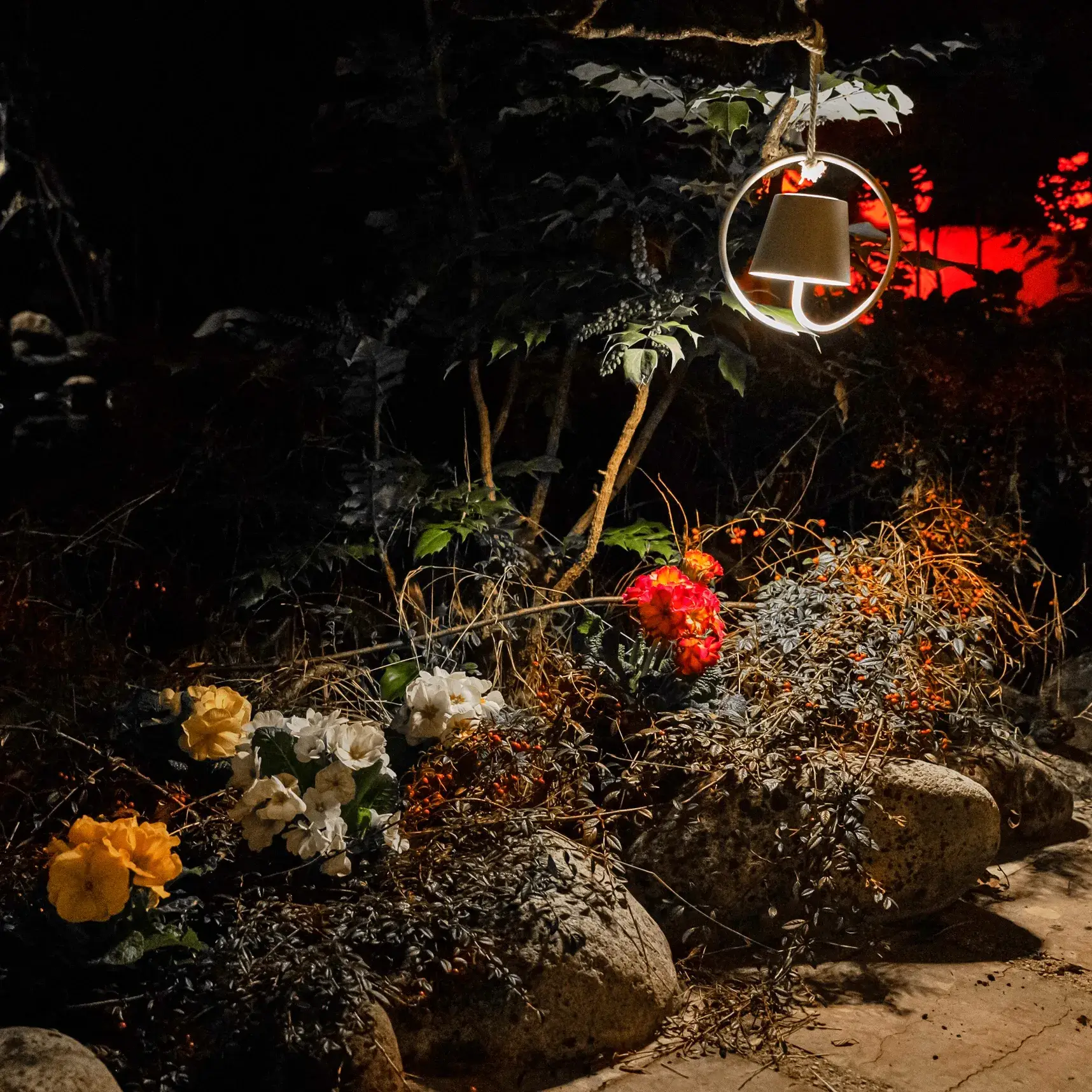 77A3351E-352D-4380-8CD4-E7DAD7B852EA-1