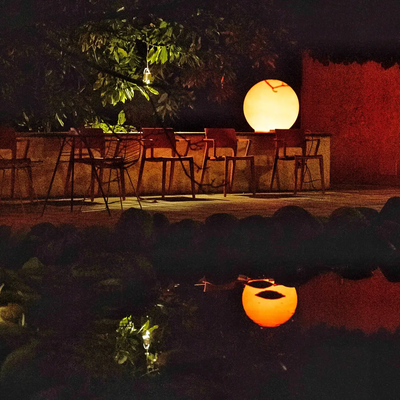 9D503936-194C-40C5-9842-4315B5ABA169-1