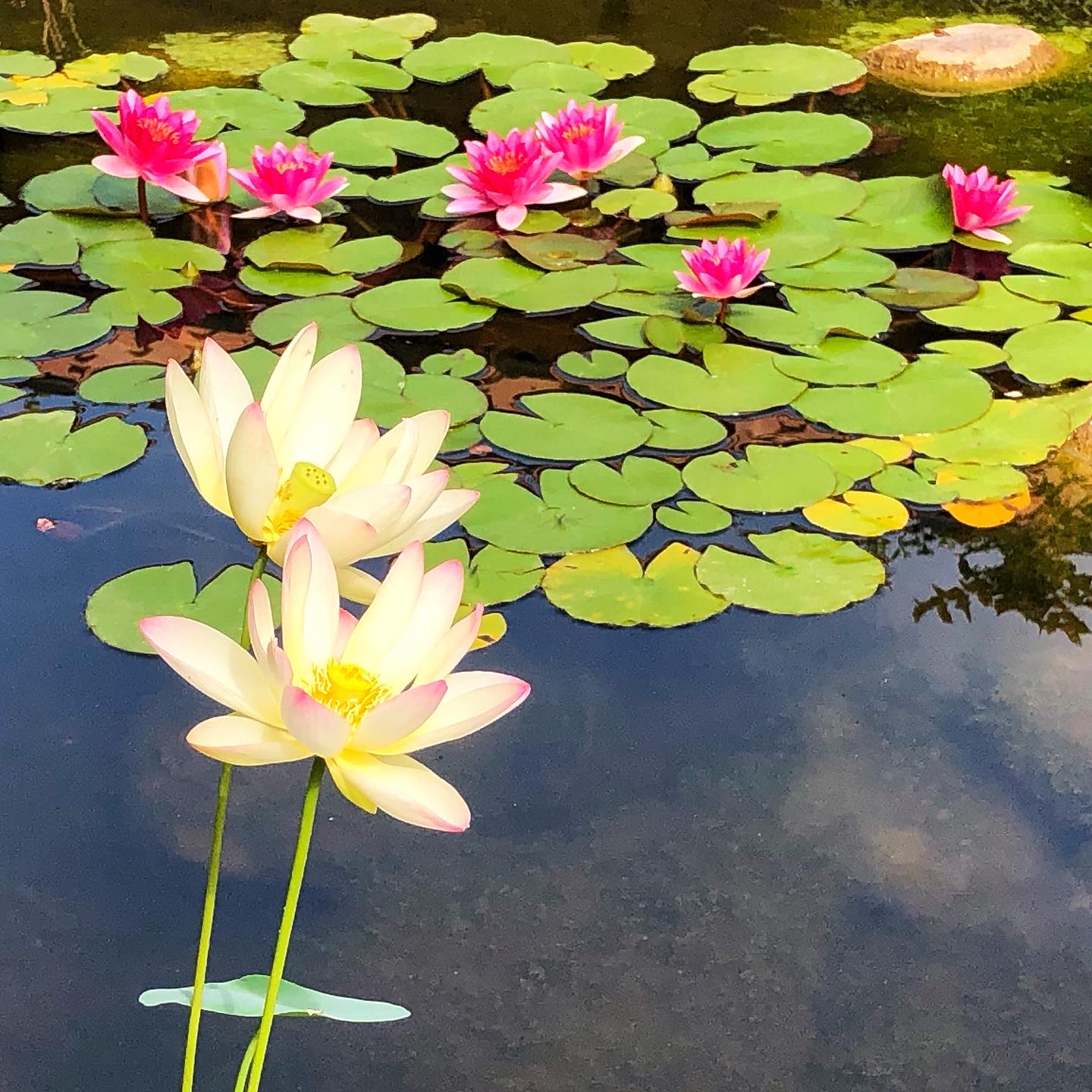 46B628A0-E79A-47AD-B5F6-90F6E608C292