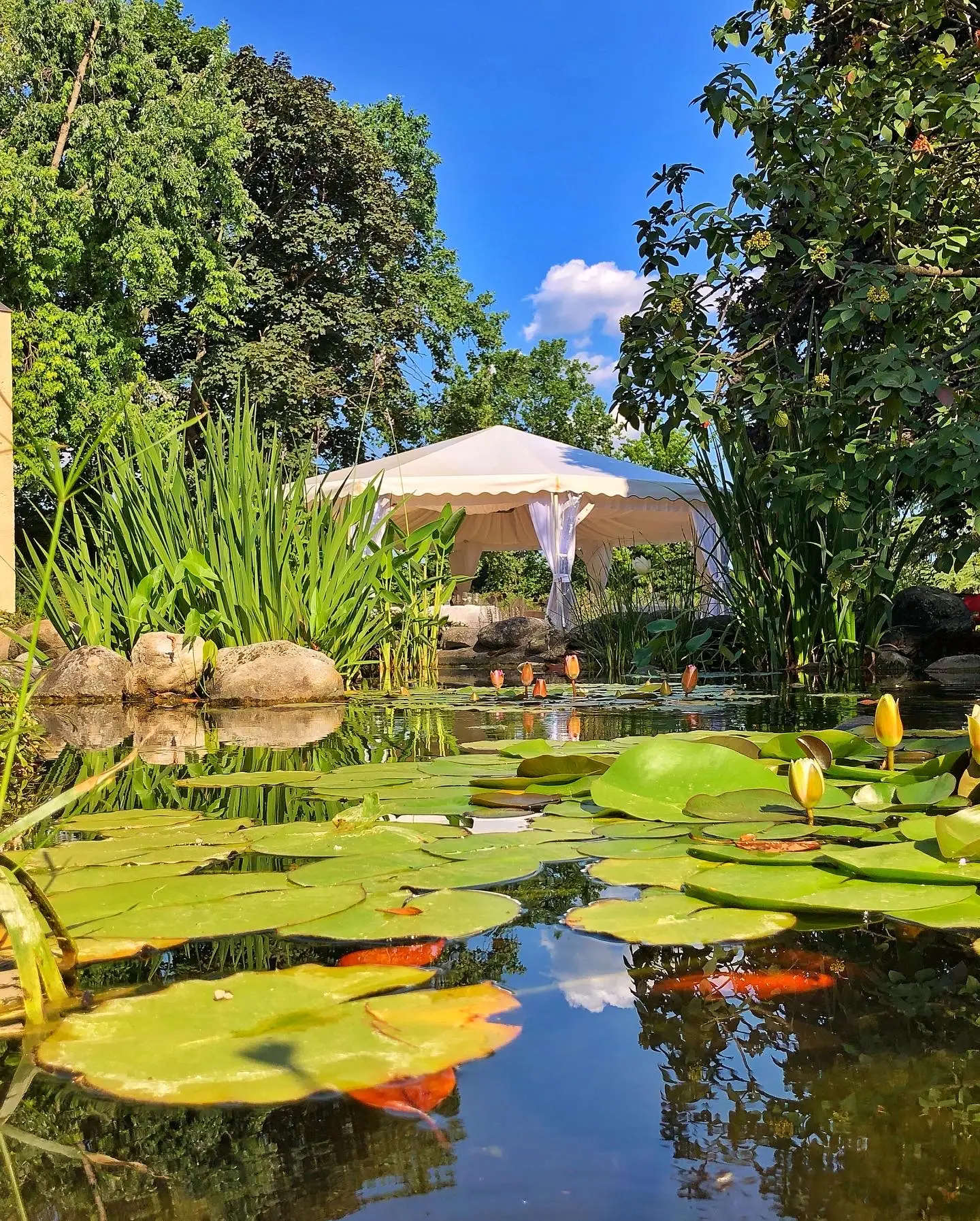 D8987875-D7C4-4697-9817-A89EBEDDC8CE