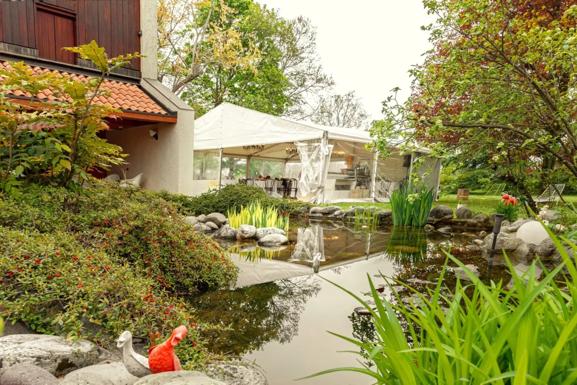 FF044BD2-EEDA-4294-882E-342ABC9EB36A-scaled