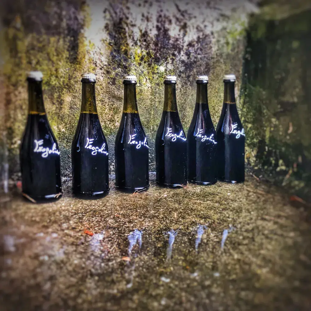 7C2146EA-3159-42C7-AB3F-061BC1CFC2F0-1024x1024 (1)