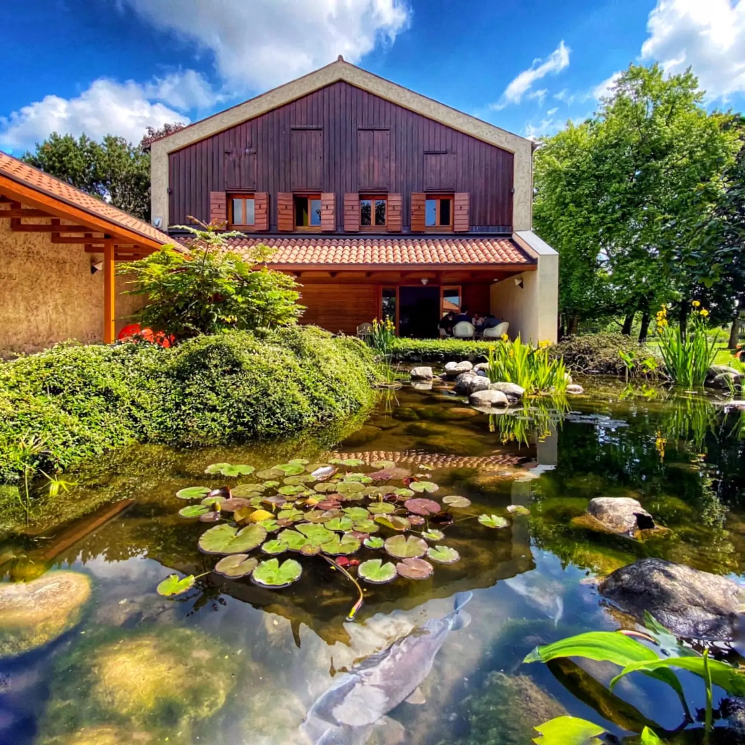 963A34C8-30F5-478A-A9F0-7E8BD505D76F (1)